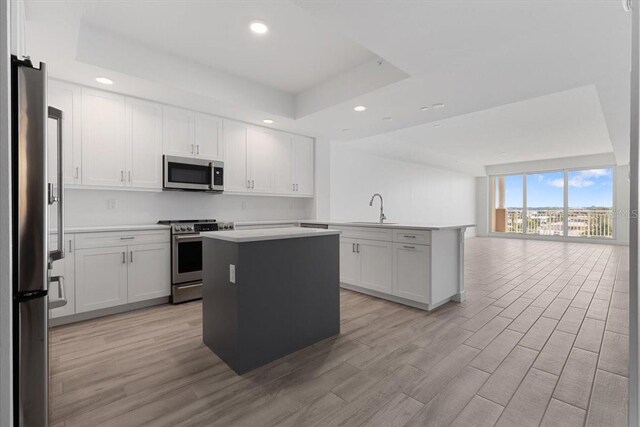 125 Island Way Unit 403, Clearwater, FL 33767 - kitchen with stainless steel appliances, a tray ceiling, a peninsula, recessed lighting, and light wood-style flooring