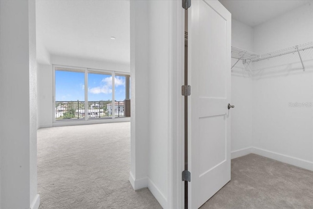 125 Island Way Unit 403, Clearwater, FL 33767 - spacious closet with carpet floors