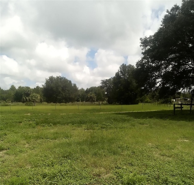 17936 SE 95th Street Rd, Ocklawaha, FL 32179 - photo 15