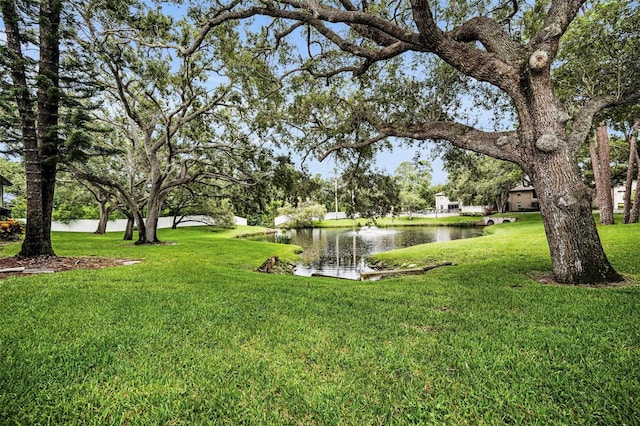 5265 E Bay Dr Unit 313, Clearwater, FL 33764 - view of green lawn featuring a water view