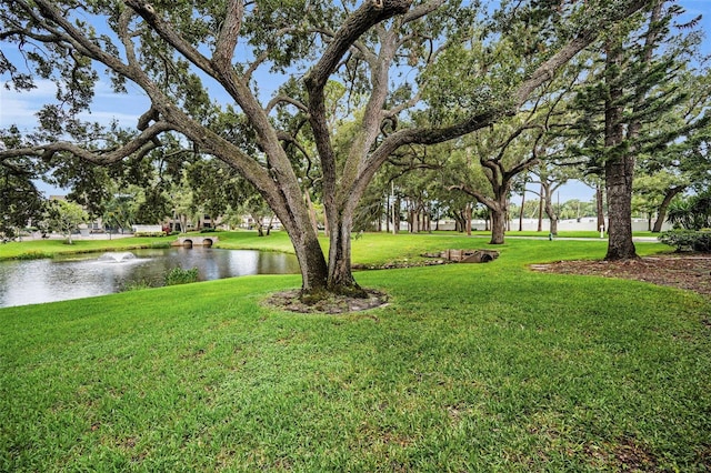 5265 E Bay Dr Unit 313, Clearwater, FL 33764 - view of green lawn with a water view