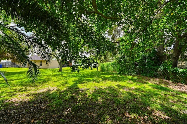 11114 Windpoint Dr, Tampa, FL 33635 - photo 31