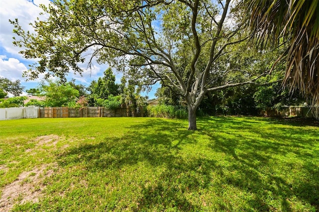 11114 Windpoint Dr, Tampa, FL 33635 - photo 33
