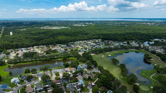 11114 Windpoint Dr, Tampa, FL 33635 - photo 47