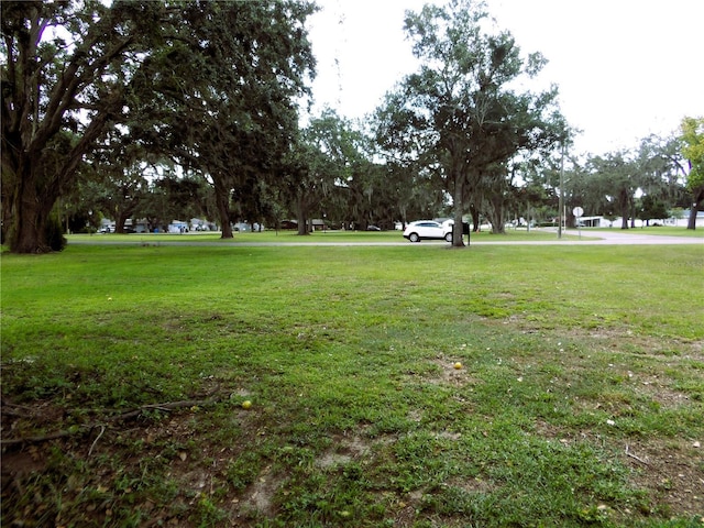 310 Oak Ave, Brandon, FL 33510 - photo 2