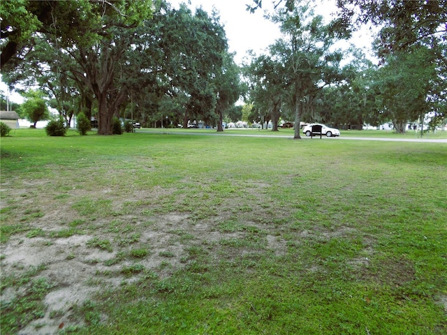 310 Oak Ave, Brandon, FL 33510 - photo 3