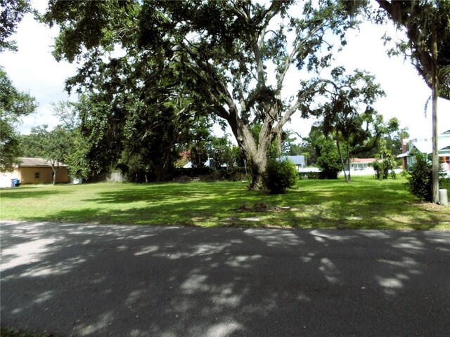 310 Oak Ave, Brandon, FL 33510 - photo 4