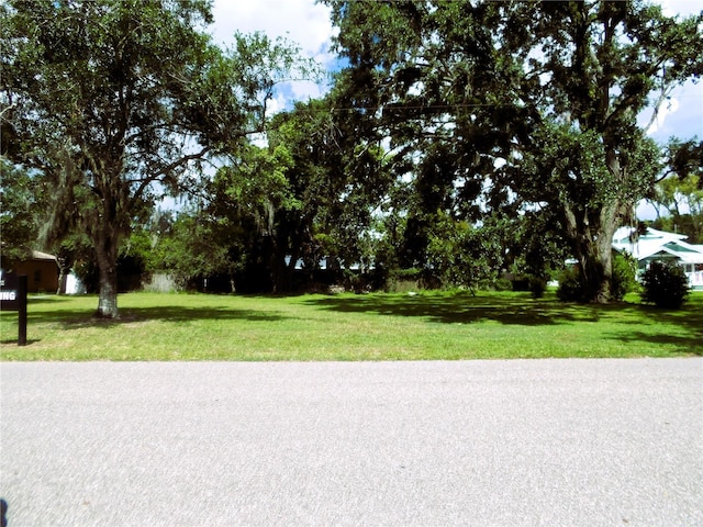 310 Oak Ave, Brandon, FL 33510 - photo 5