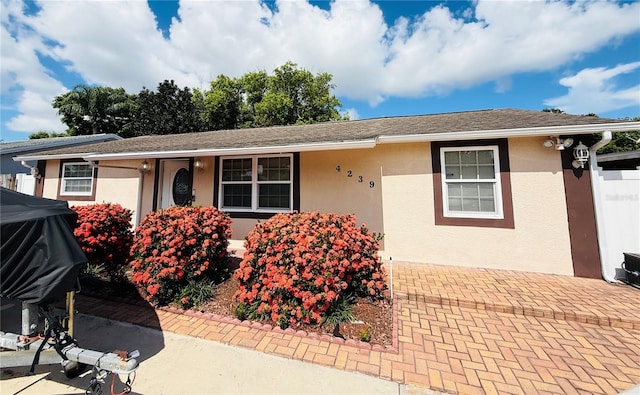 4239 Cardoon Dr, New Port Richey, FL 34653 - ranch-style house featuring stucco siding