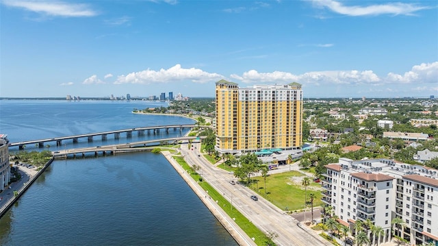345 Bayshore Blvd Unit 407, Tampa, FL 33606 - photo 4