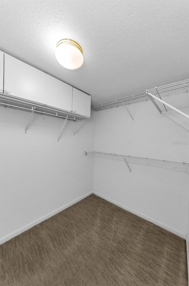 3021 Countryside Blvd Unit 28A, Clearwater, FL 33761 - walk in closet featuring carpet flooring