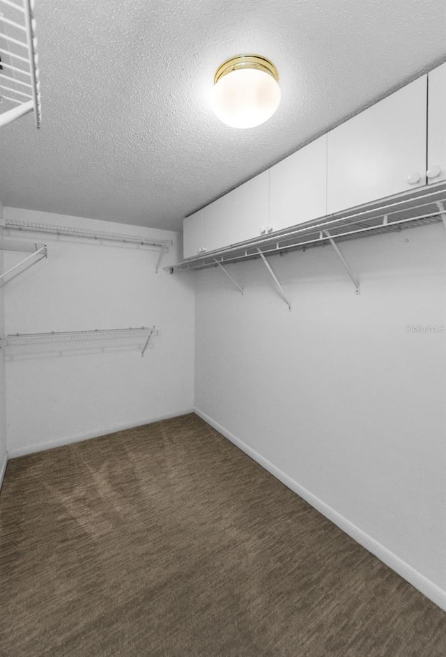 3021 Countryside Blvd Unit 28A, Clearwater, FL 33761 - spacious closet featuring carpet flooring