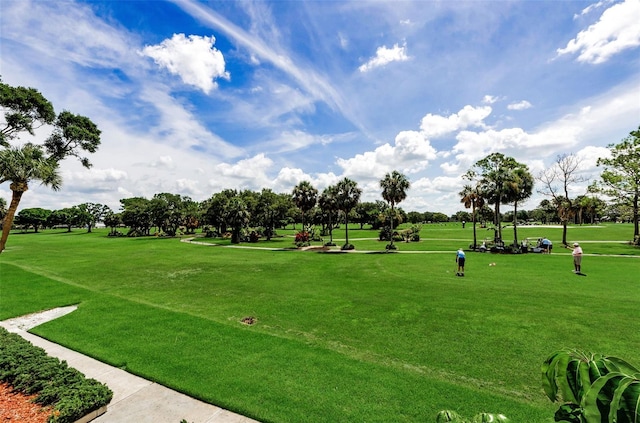 3021 Countryside Blvd Unit 28A, Clearwater, FL 33761 - view of home's community with a lawn