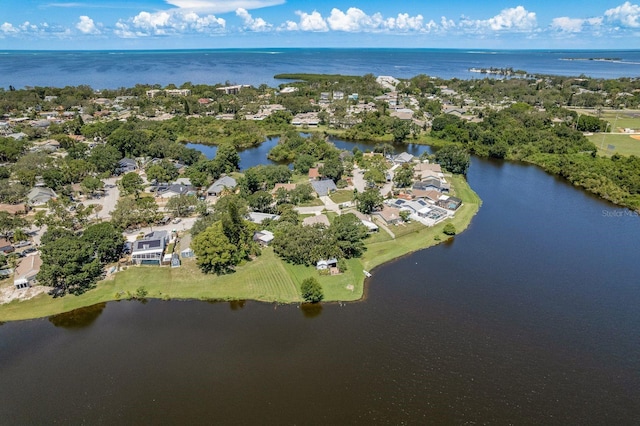 723 Merlins Ct, Tarpon Springs, FL 34689 - photo 56
