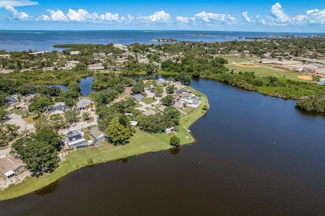 723 Merlins Ct, Tarpon Springs, FL 34689 - photo 57