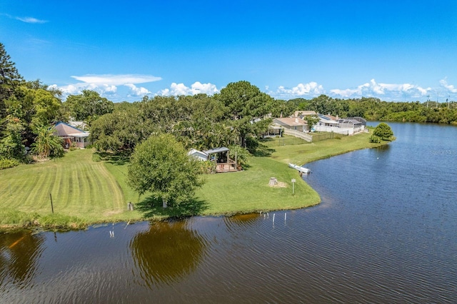 723 Merlins Ct, Tarpon Springs, FL 34689 - photo 59
