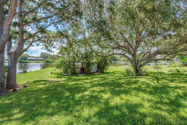 723 Merlins Ct, Tarpon Springs, FL 34689 - photo 35