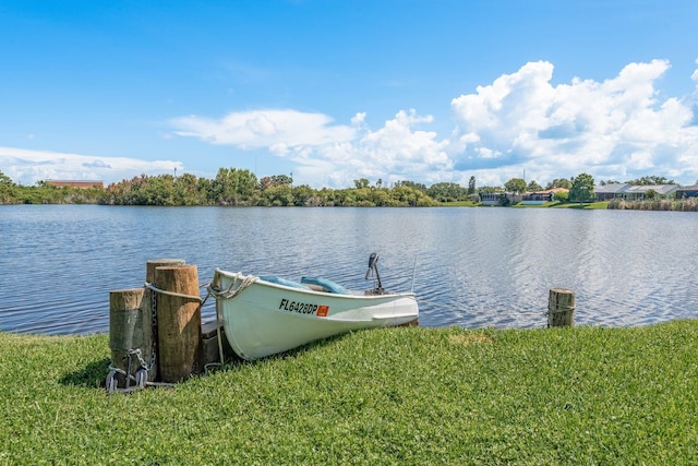 723 Merlins Ct, Tarpon Springs, FL 34689 - photo 37