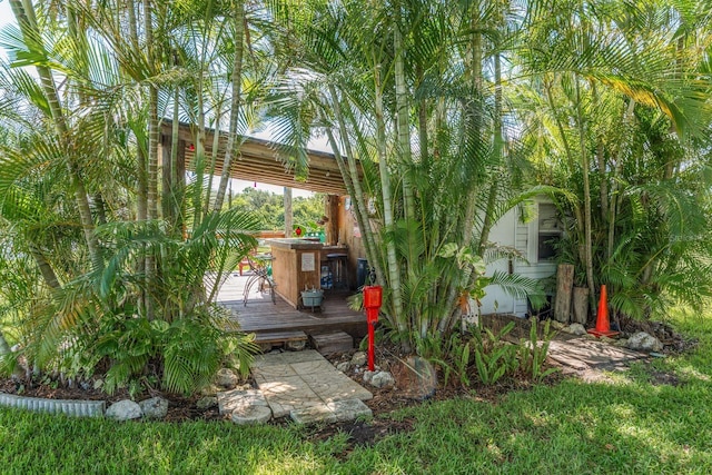 723 Merlins Ct, Tarpon Springs, FL 34689 - photo 39
