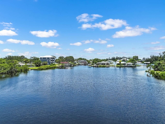 803 Leisey Cir, Ruskin, FL 33570 - photo 59