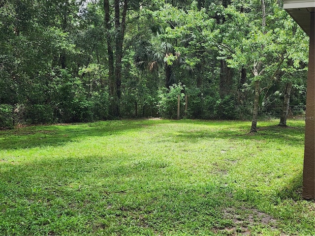 14075 Citrus Way, Brooksville, FL 34601 - photo 31