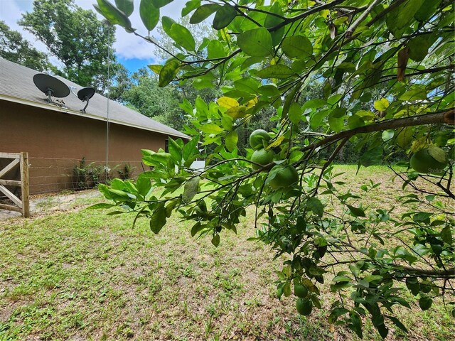 14075 Citrus Way, Brooksville, FL 34601 - photo 39