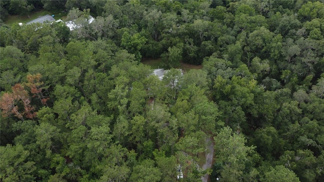 14075 Citrus Way, Brooksville, FL 34601 - photo 41