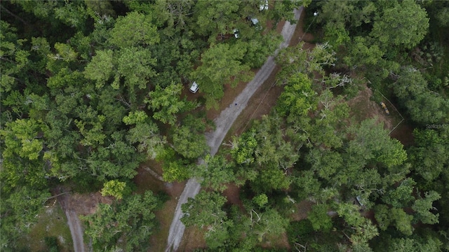 14075 Citrus Way, Brooksville, FL 34601 - photo 42
