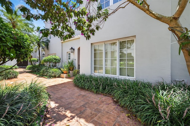 4965 Bayshore Blvd Unit 4965, Tampa, FL 33611 - photo 47