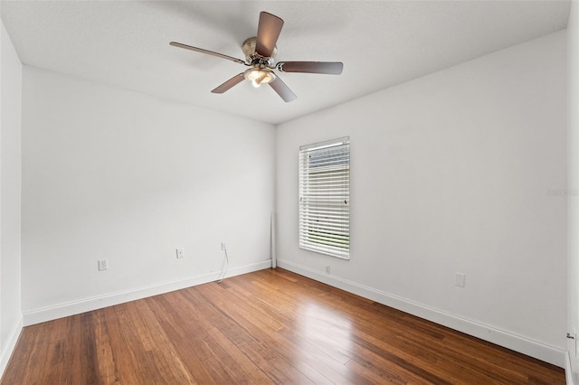 10208 Thicket Point Way, Tampa, FL 33647 - photo 33