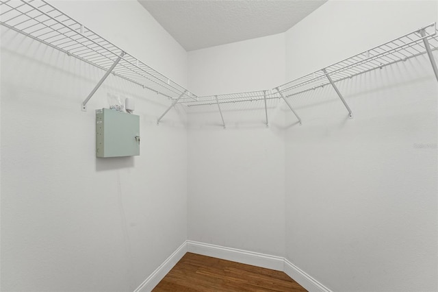 10208 Thicket Point Way, Tampa, FL 33647 - photo 39