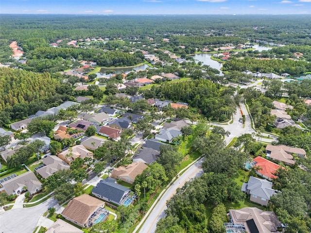 10208 Thicket Point Way, Tampa, FL 33647 - photo 49