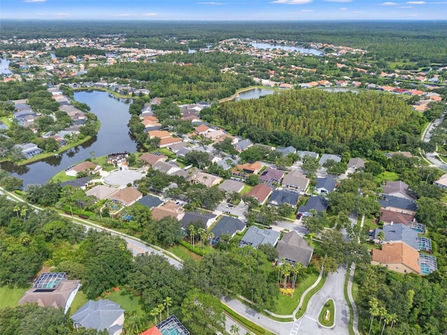 10208 Thicket Point Way, Tampa, FL 33647 - photo 50