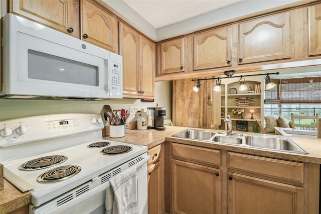 2406 Gallagher Ave, Spring Hill, FL 34606 - photo 25