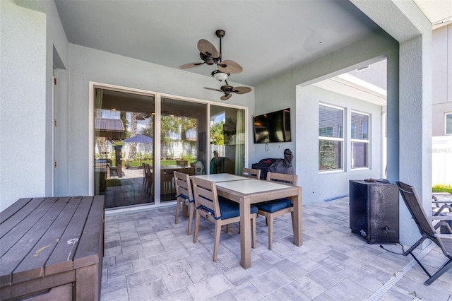 16405 Lucia Gardens Ln, Tampa, FL 33625 - photo 45