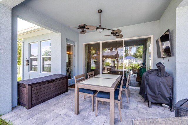 16405 Lucia Gardens Ln, Tampa, FL 33625 - photo 46