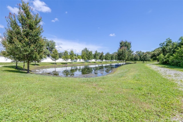 16405 Lucia Gardens Ln, Tampa, FL 33625 - photo 55