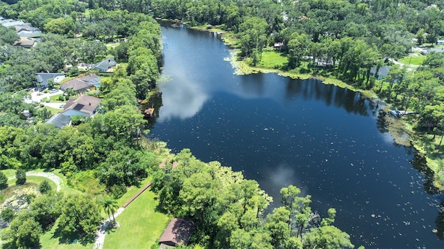 16405 Lucia Gardens Ln, Tampa, FL 33625 - photo 69