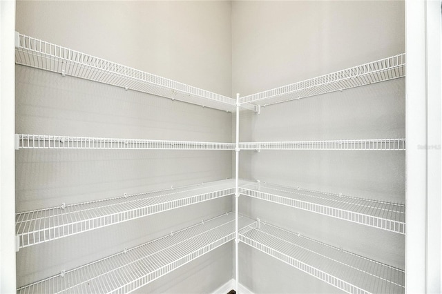 1192 Multiflora Loop, Lutz, FL 33558 - view of pantry