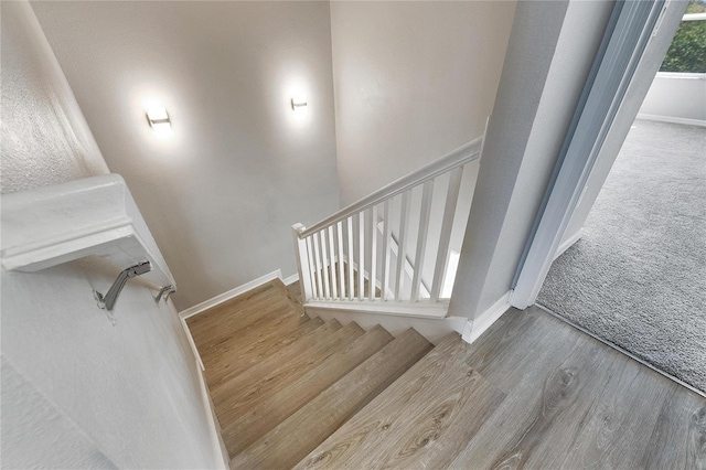 1192 Multiflora Loop, Lutz, FL 33558 - staircase featuring wood finished floors and baseboards