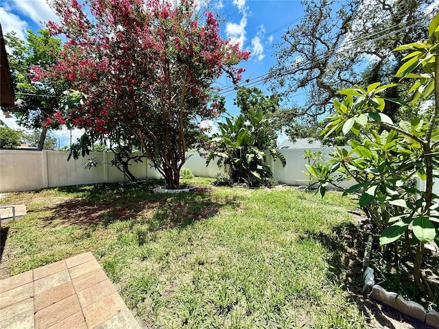 4094 38th Ave N, Saint Petersburg, FL 33713 - photo 23