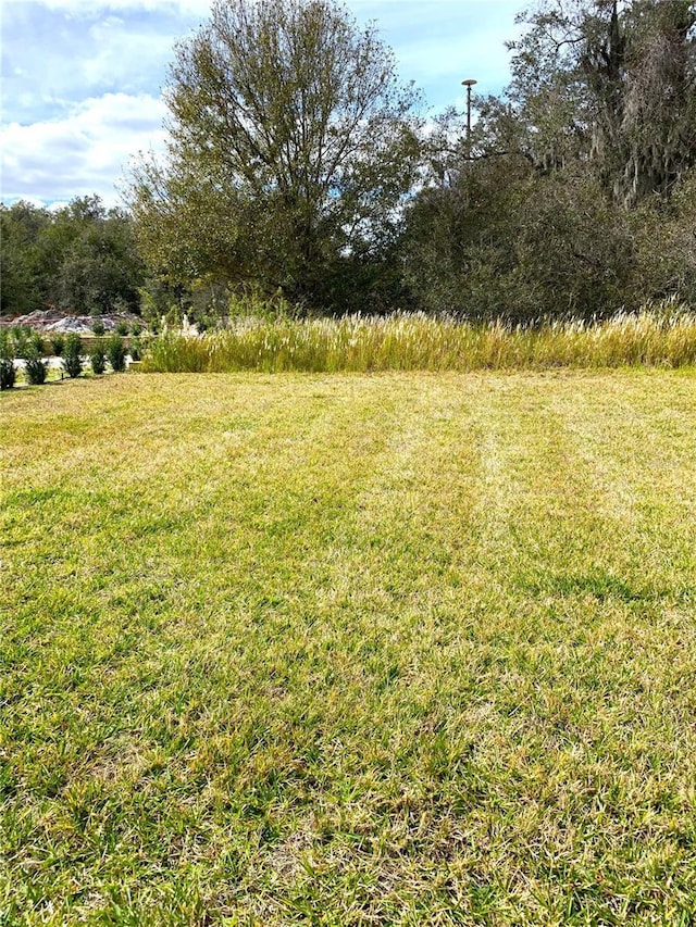 5578 Maggiore Blvd, Lakeland, FL 33805 - view of green lawn