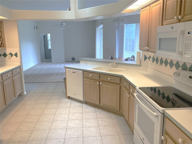 18502 Enclave Pl, Tampa, FL 33647 - photo 10