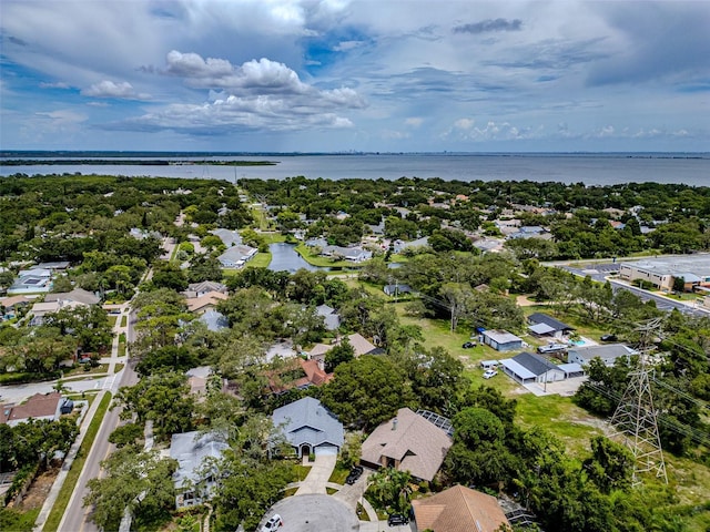 1014 Bramblewood Ct, Safety Harbor, FL 34695 - photo 43