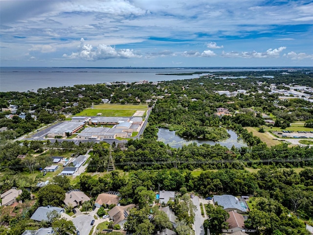 1014 Bramblewood Ct, Safety Harbor, FL 34695 - photo 41