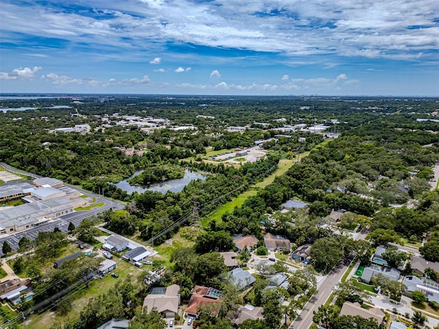 1014 Bramblewood Ct, Safety Harbor, FL 34695 - photo 38