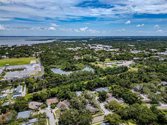1014 Bramblewood Ct, Safety Harbor, FL 34695 - photo 40