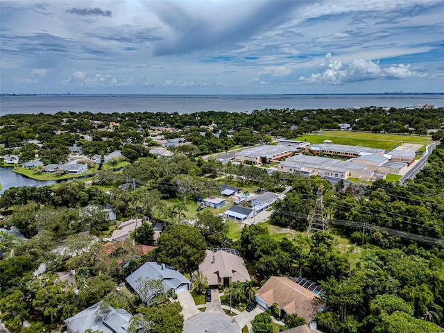 1014 Bramblewood Ct, Safety Harbor, FL 34695 - photo 42