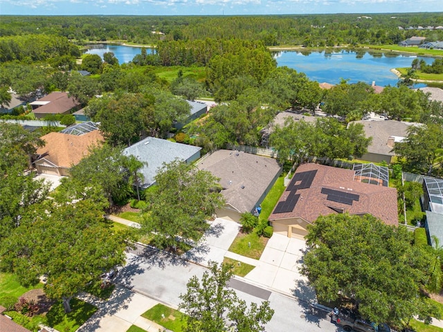 9418 Azalea Ridge Cir, Tampa, FL 33647 - photo 4