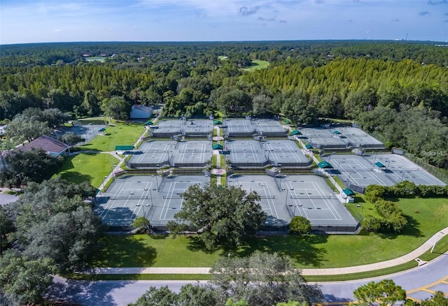 9418 Azalea Ridge Cir, Tampa, FL 33647 - photo 54